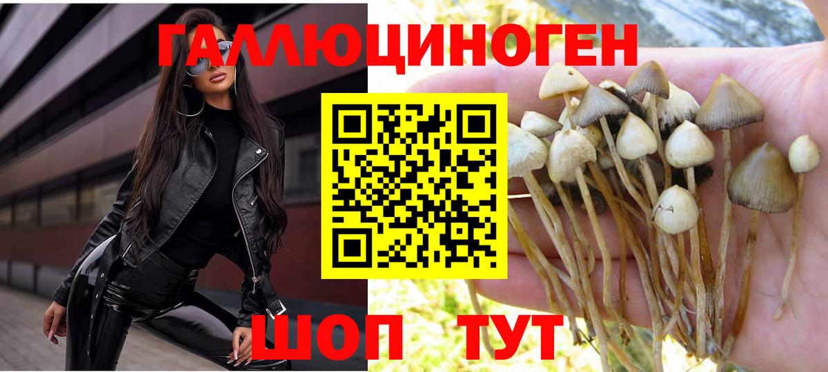Галлюциногенные грибы Psilocybe  Ишим  Галлюциногенные грибы ЛСД 
